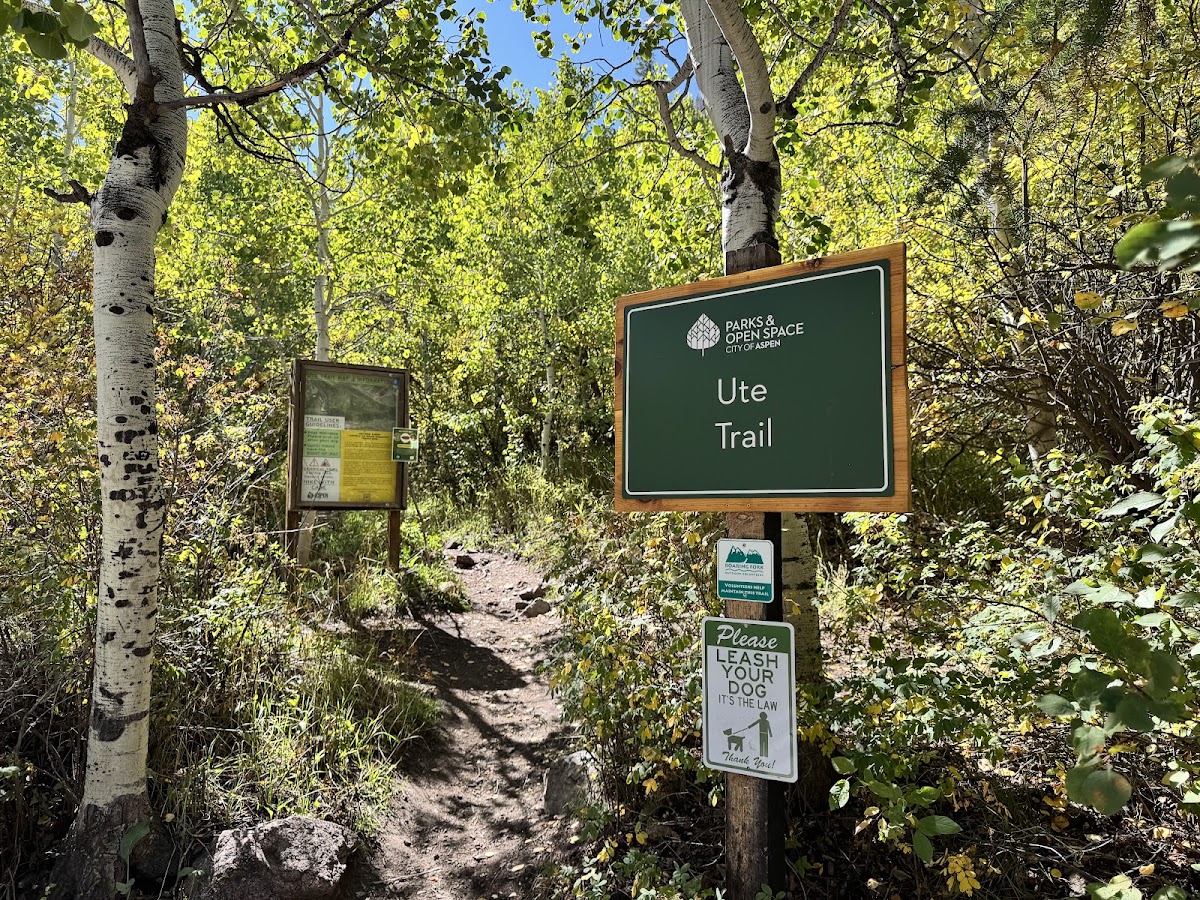 Ute Trail trailhead (in Aspen)