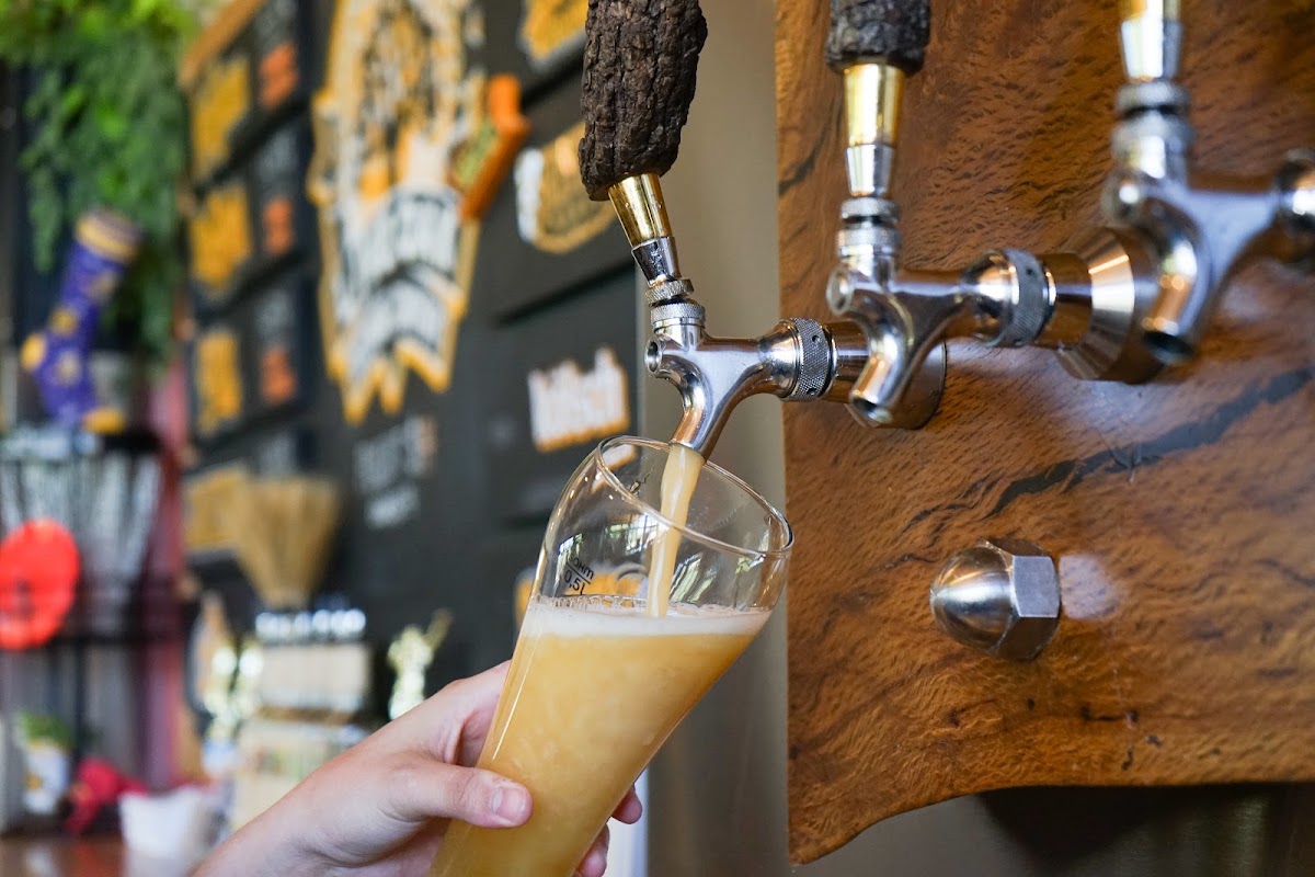 Live Oak Brewing