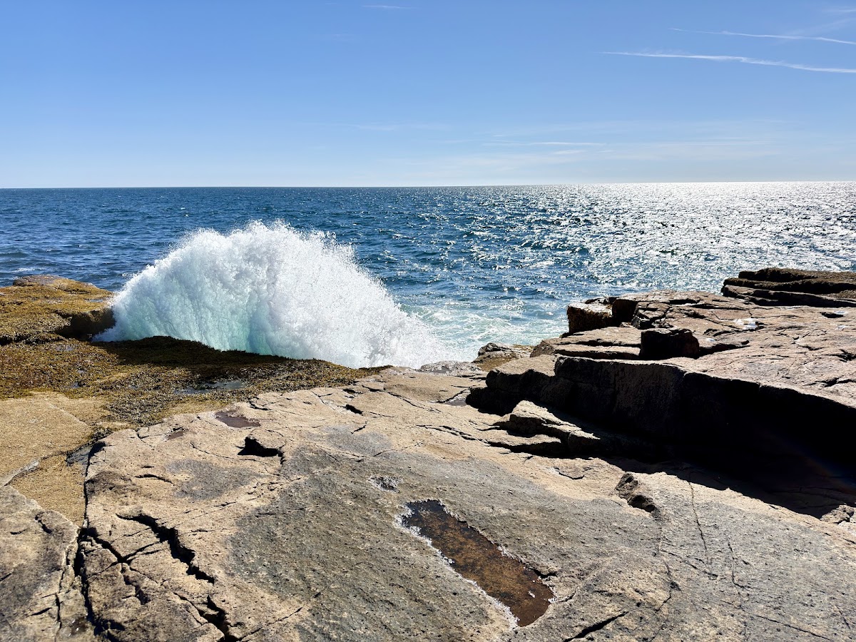 Schoodic Point