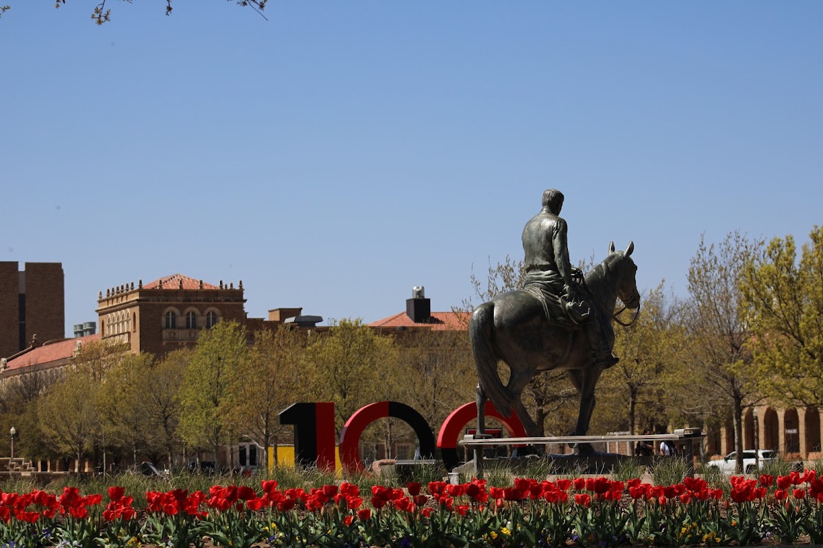 Will Rogers and Soapsuds Statue