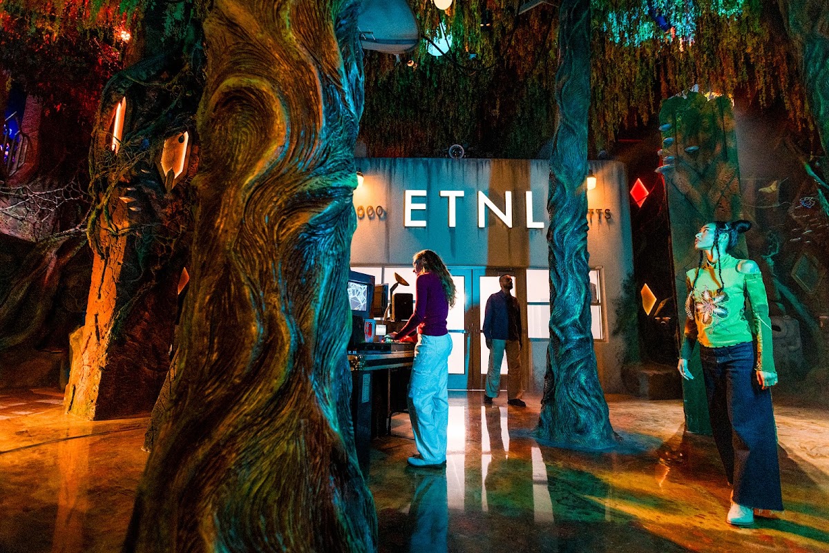 Meow Wolf: The Cosmic Howl