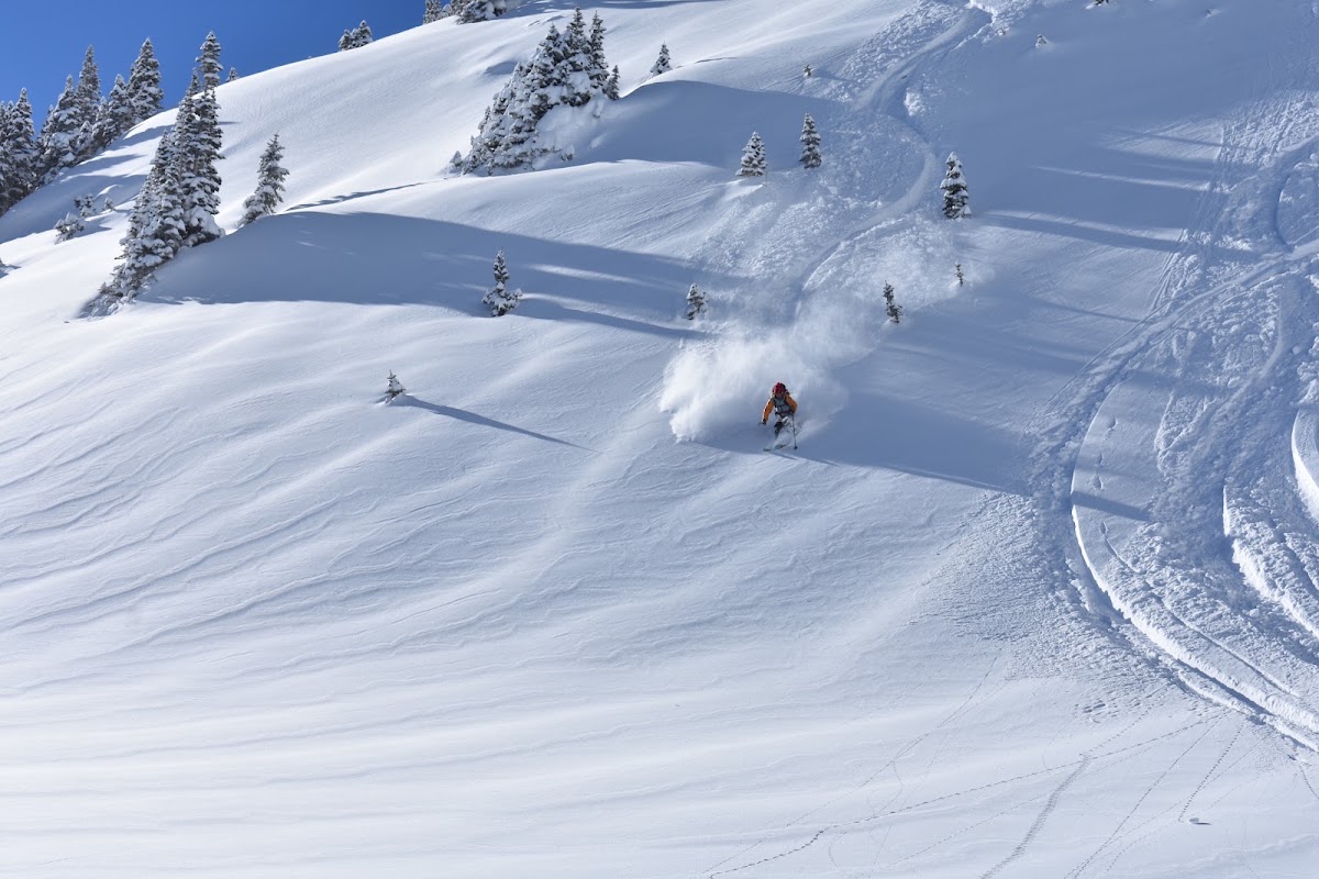 Aspen Expeditions Worldwide