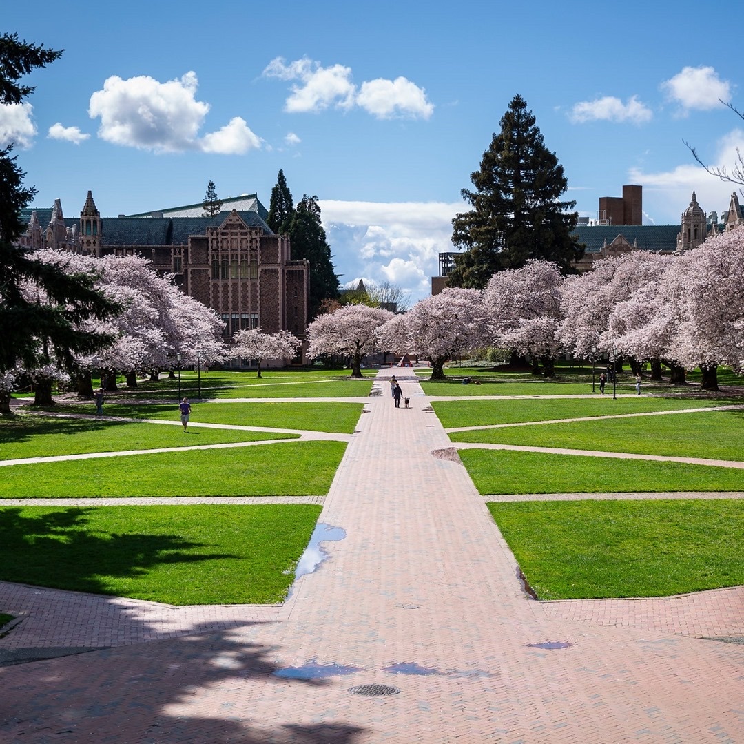 University of Washington (UW) Guide: Restaurants, Bars & Hotels (2026)