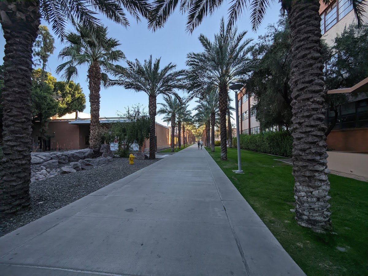 Palm Walk