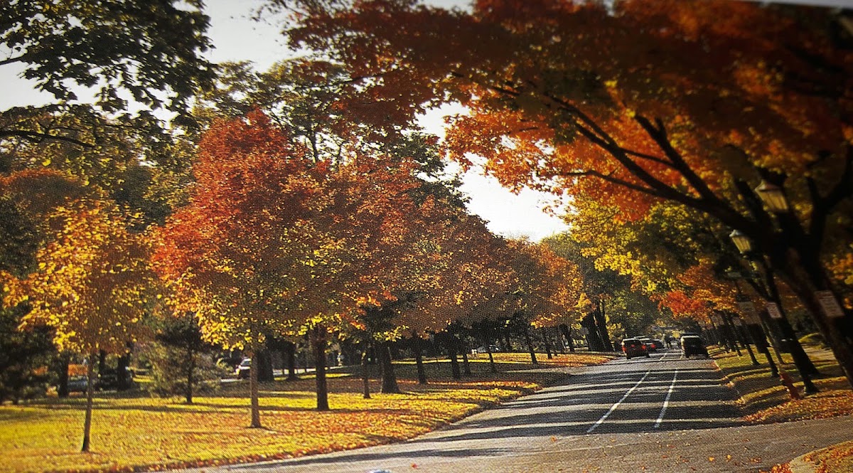 Summit Avenue