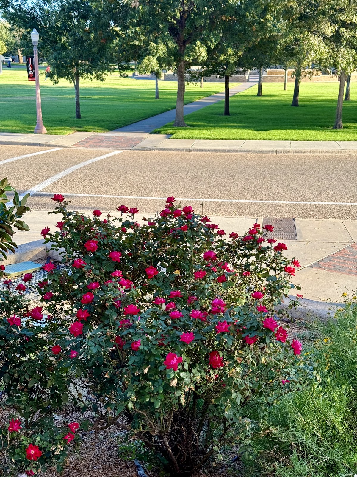 Memorial Circle