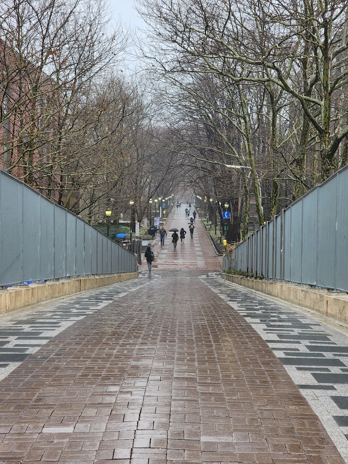 Locust Walk