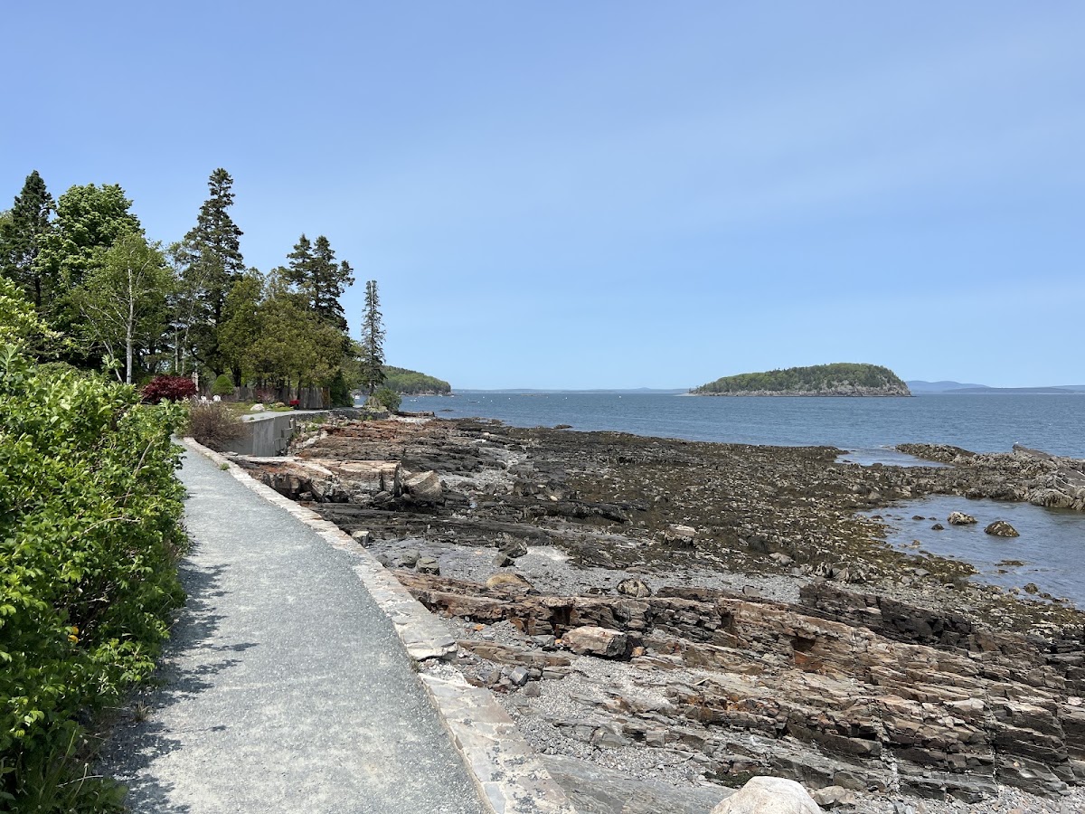 The Shore Path