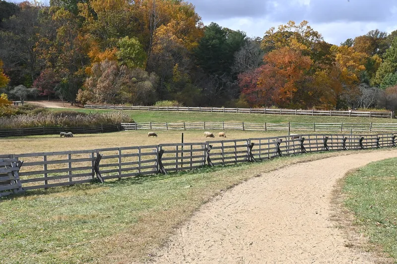 Cook's Hamlet — 5 fully fenced acres with trails and open field