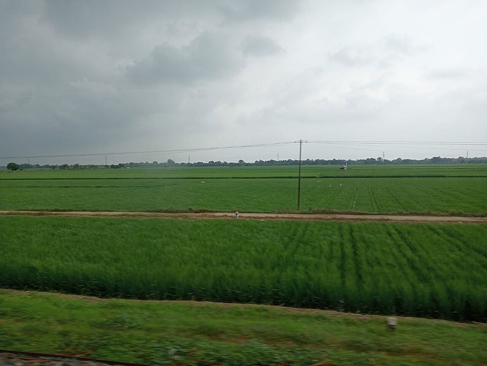Wakaf Pembebasan Lahan Pusat Dakwah