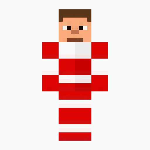 World Tournament Fan Minecraft Skin Minecraft skin preview