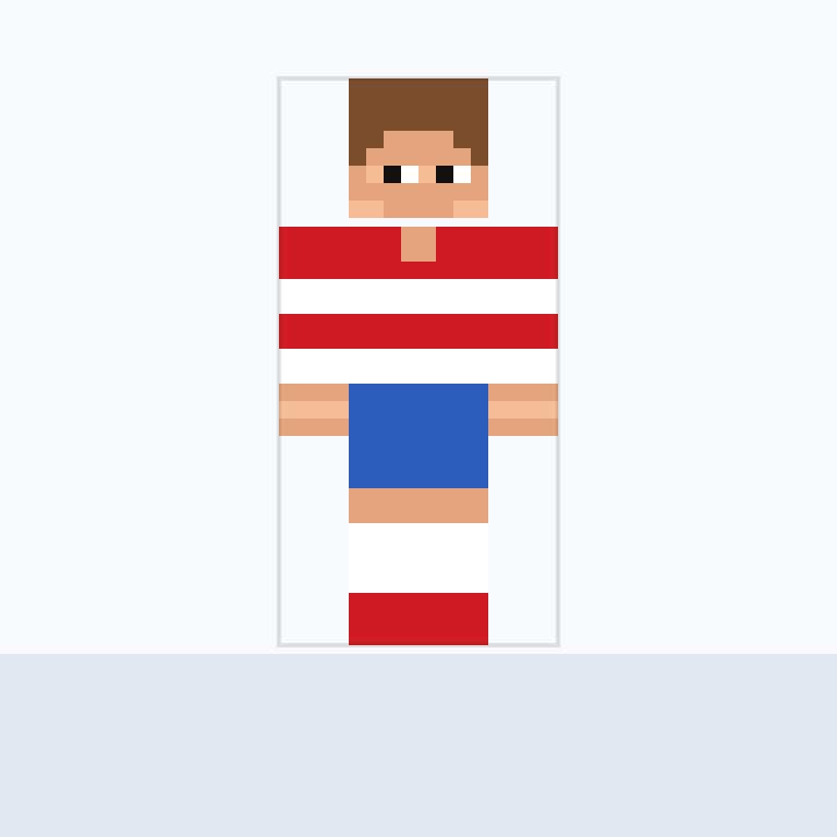 World Tournament Fan Minecraft Skin Minecraft skin