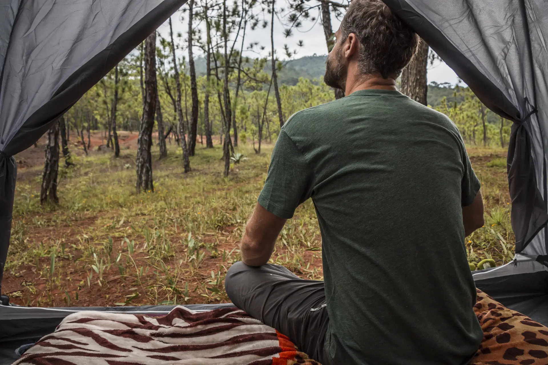 Vista nocturna del camping
