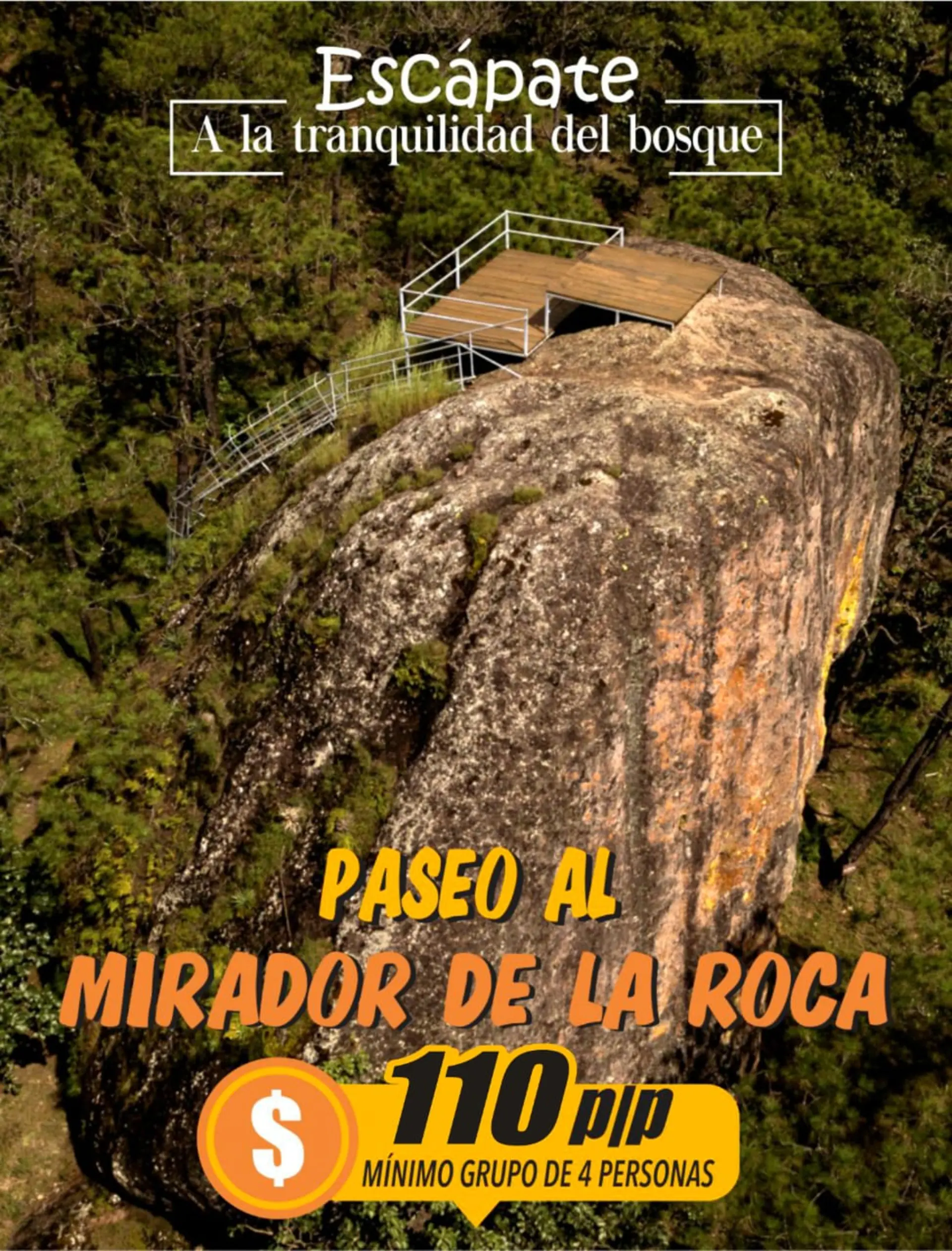 Vista de la cabaña Venado en su entorno natural