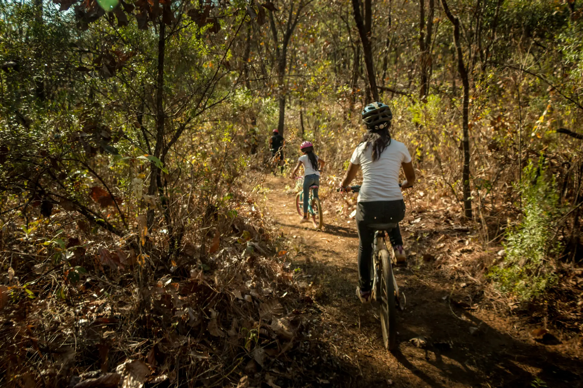 Vista panorámica desde el Mirador
