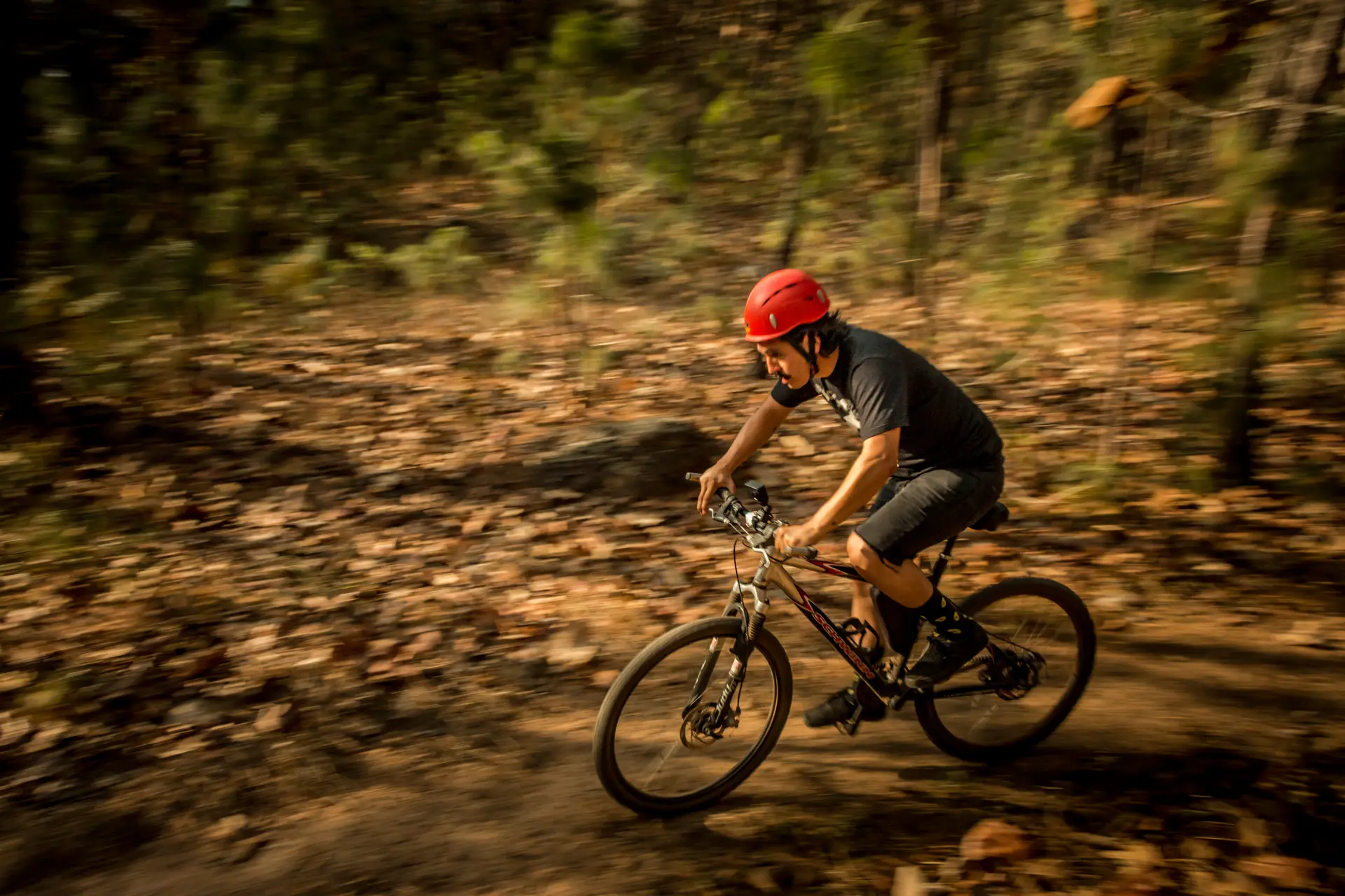 Vista panorámica desde el Mirador
