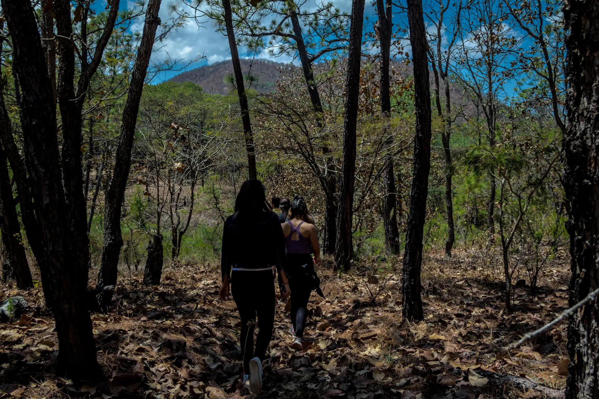 Vista panorámica desde el Mirador