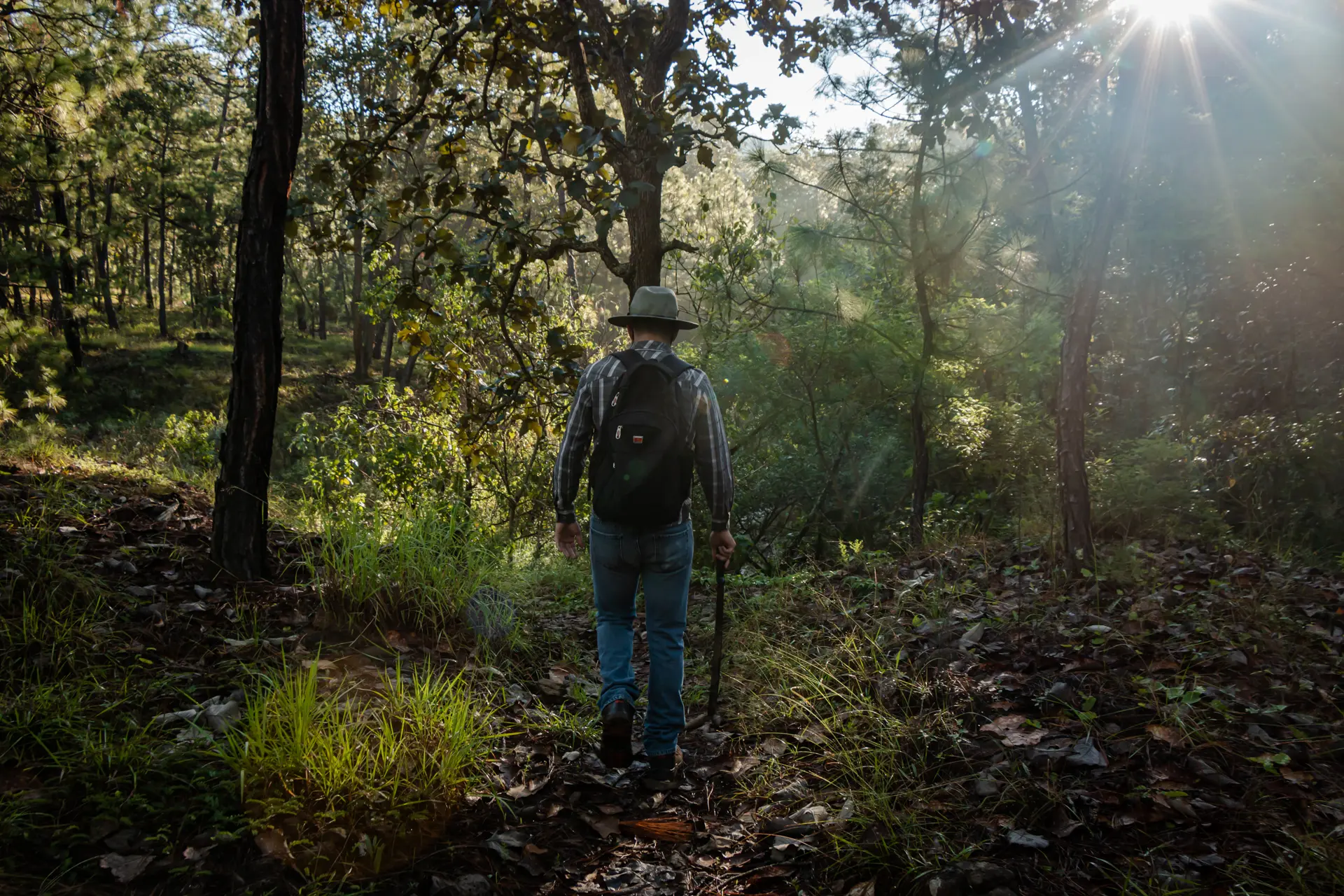 Vista panorámica desde el Mirador
