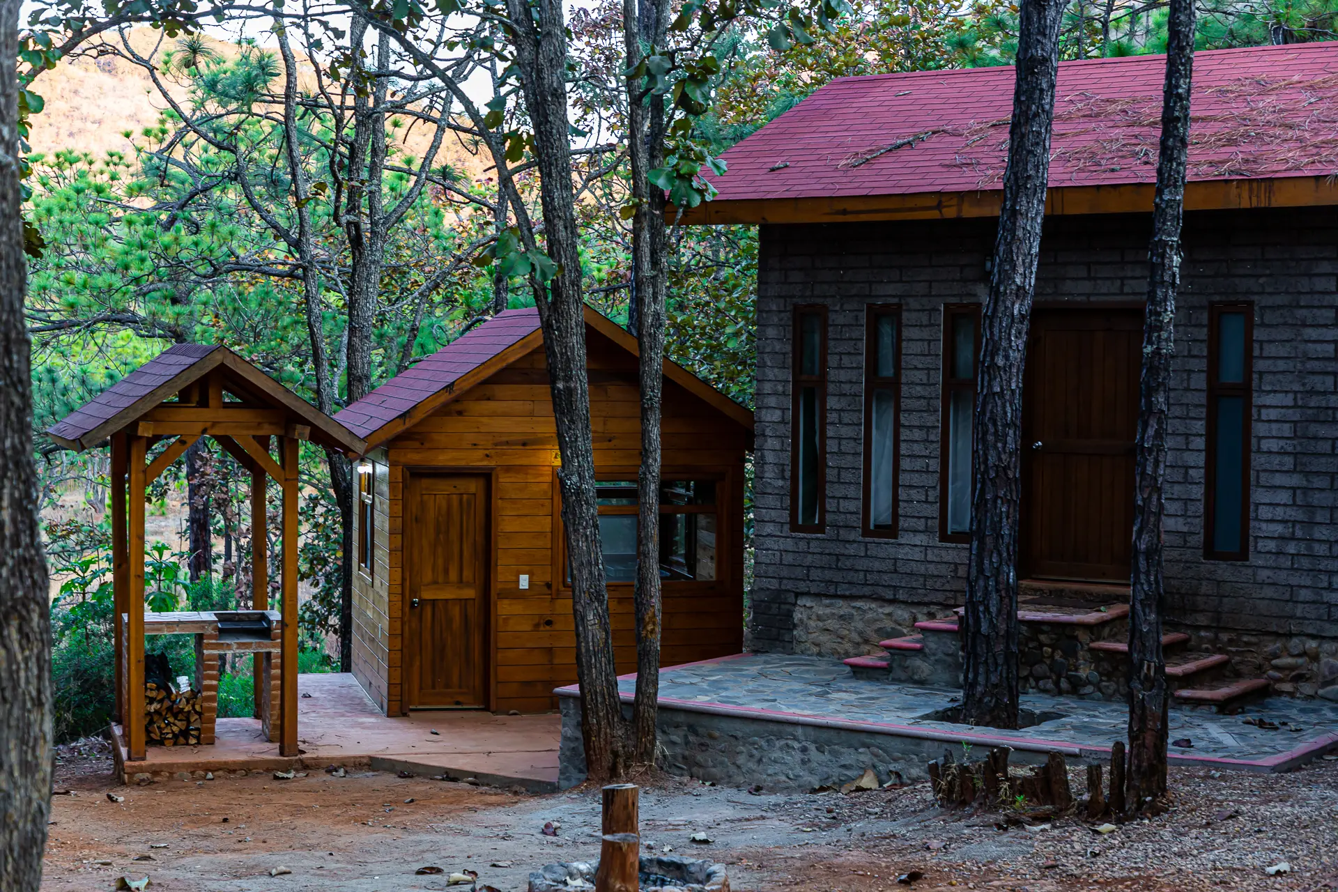 Cabaña Libélula