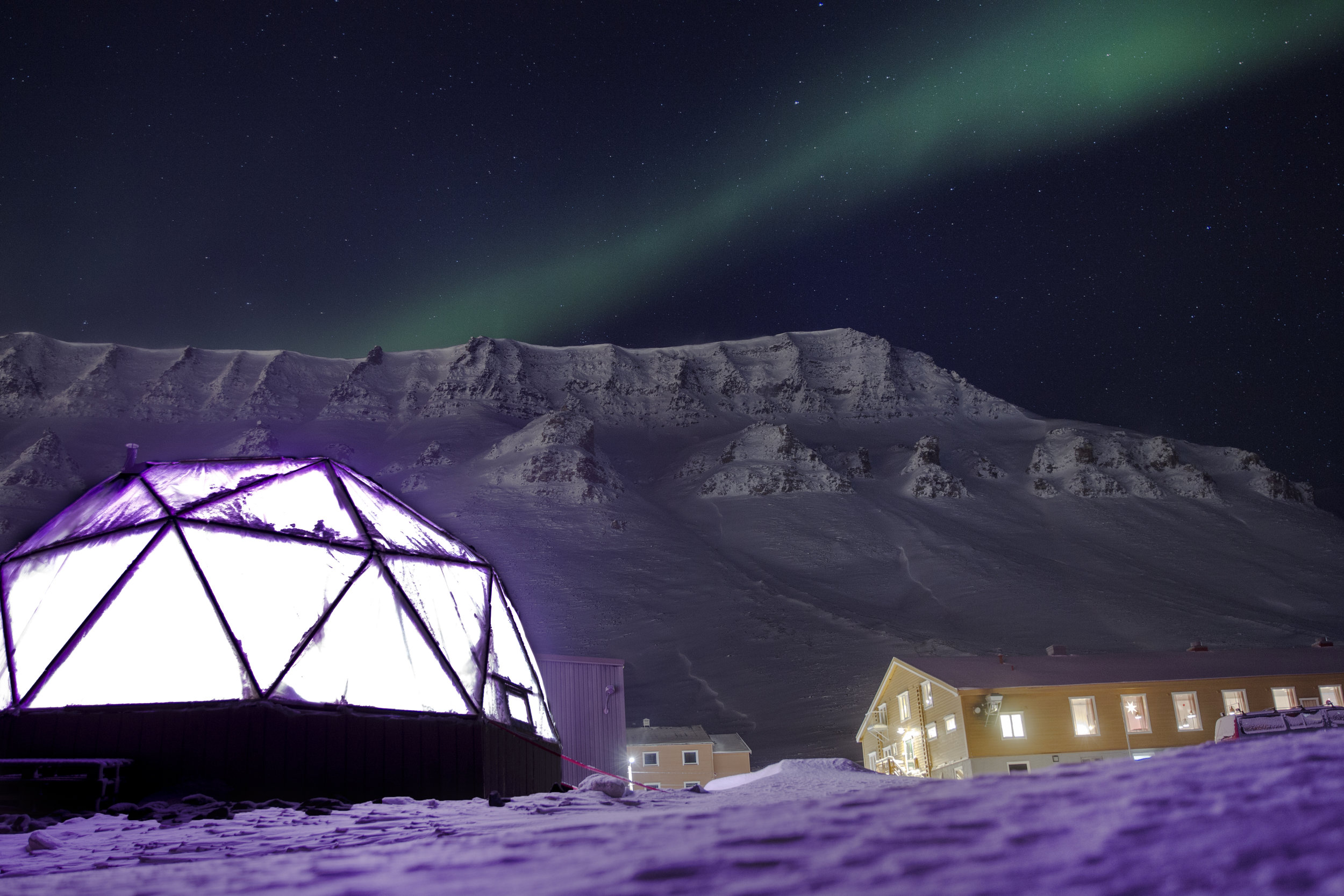 Chew on This - Polar Permaculture