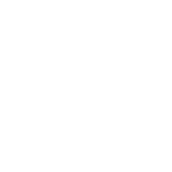 Optimism