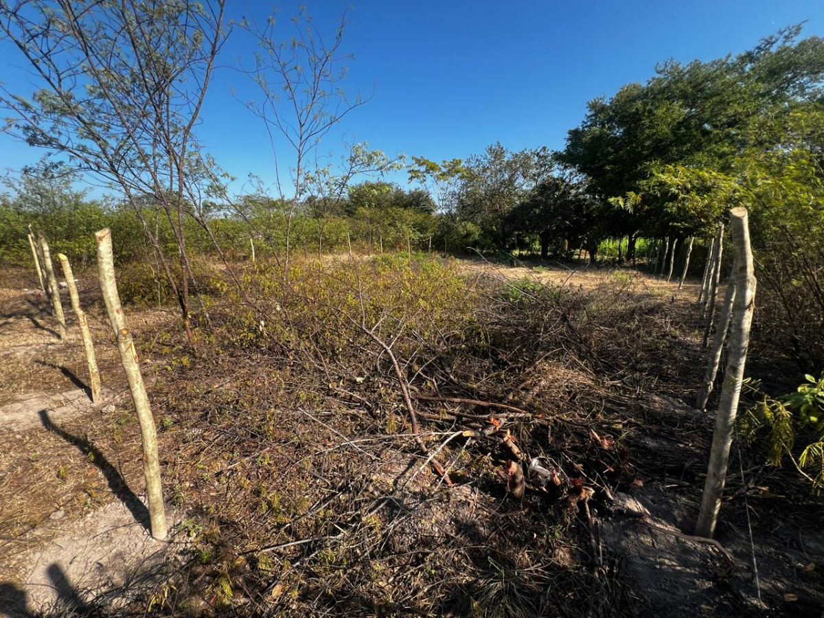 Terreno en el Zapotillo, Villa de San Antonio — foto 1