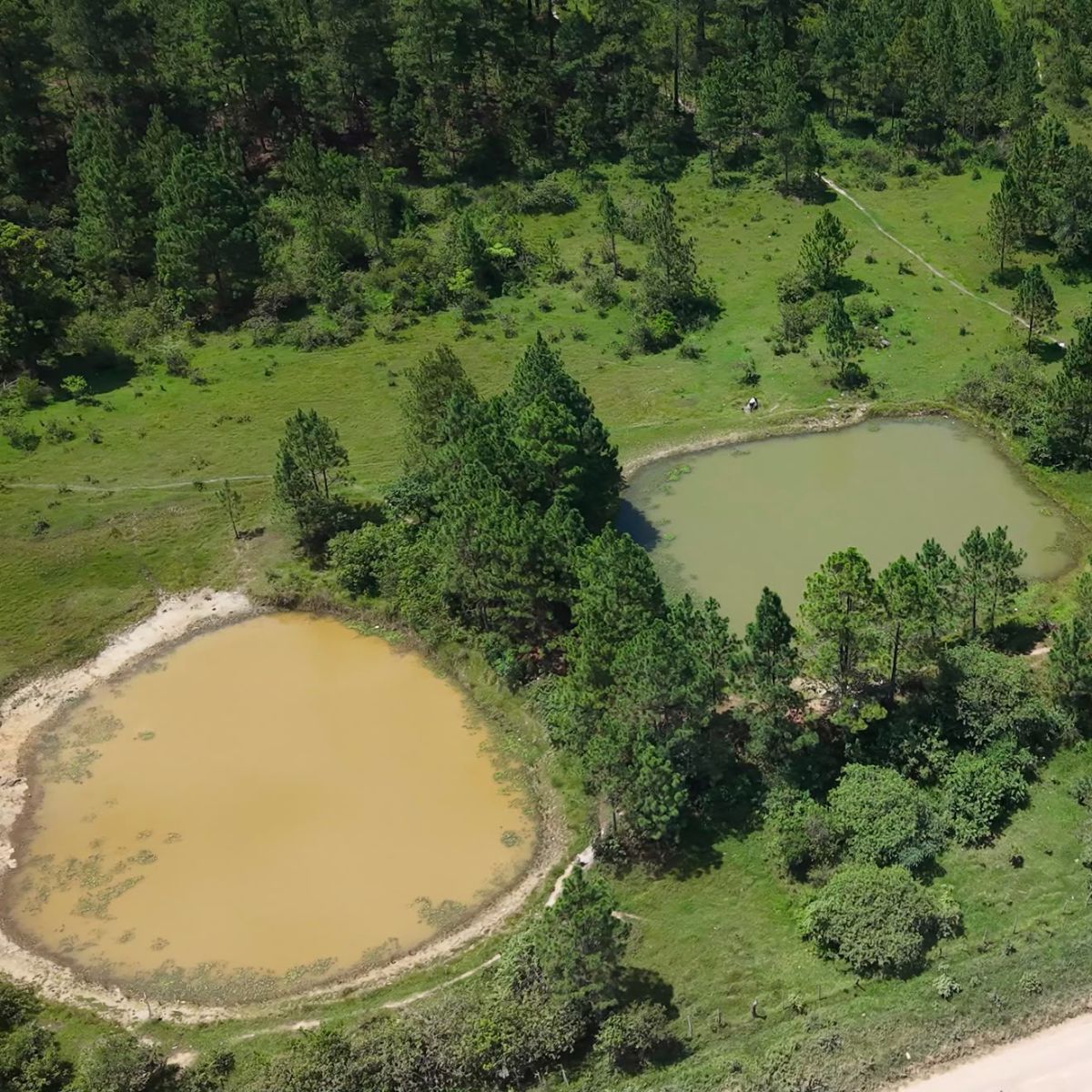 Terreno en San Matías — foto 1