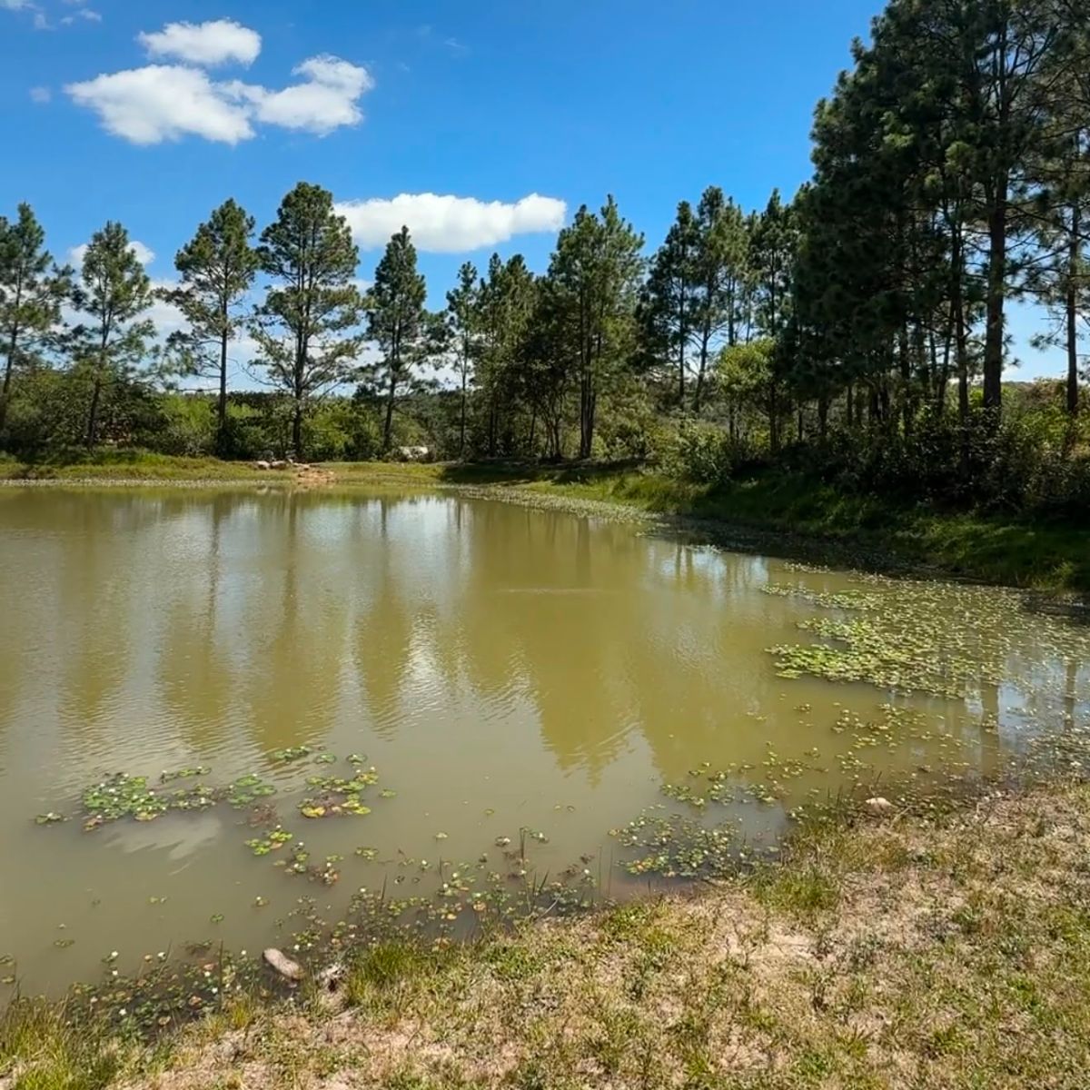 Terreno en San Matías — foto 2