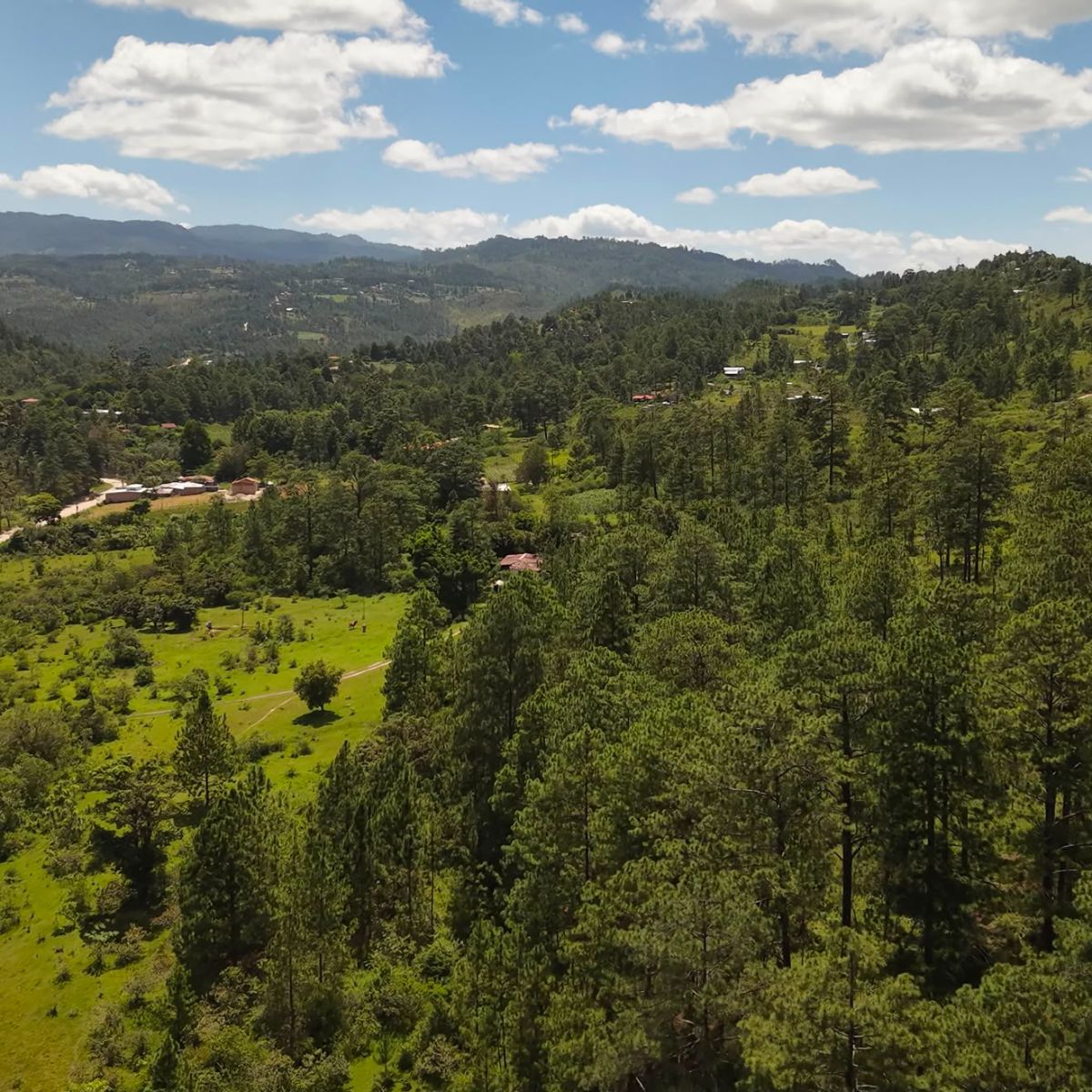 Terreno en San Matías — foto 3