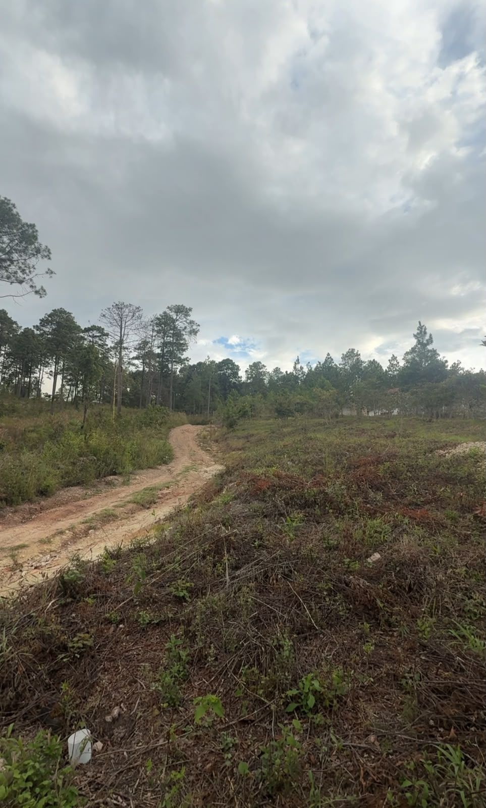 Terreno en km 12 hacia Lepaterique | Financiamiento Directo — foto 2