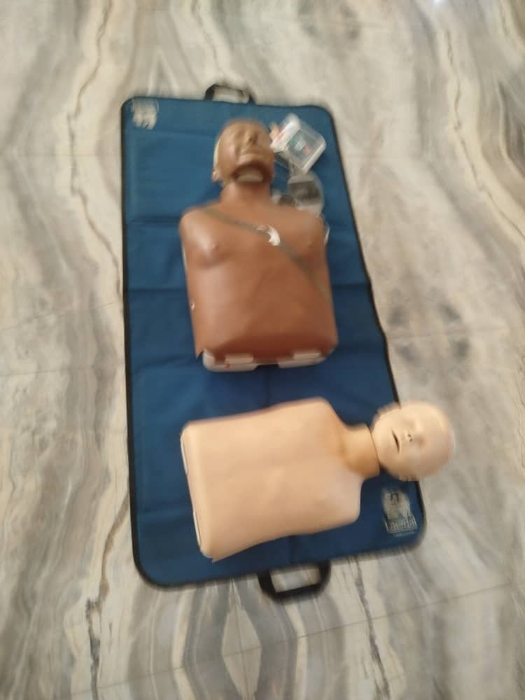 Adult and infant CPR manikins — Laerdal training equipment