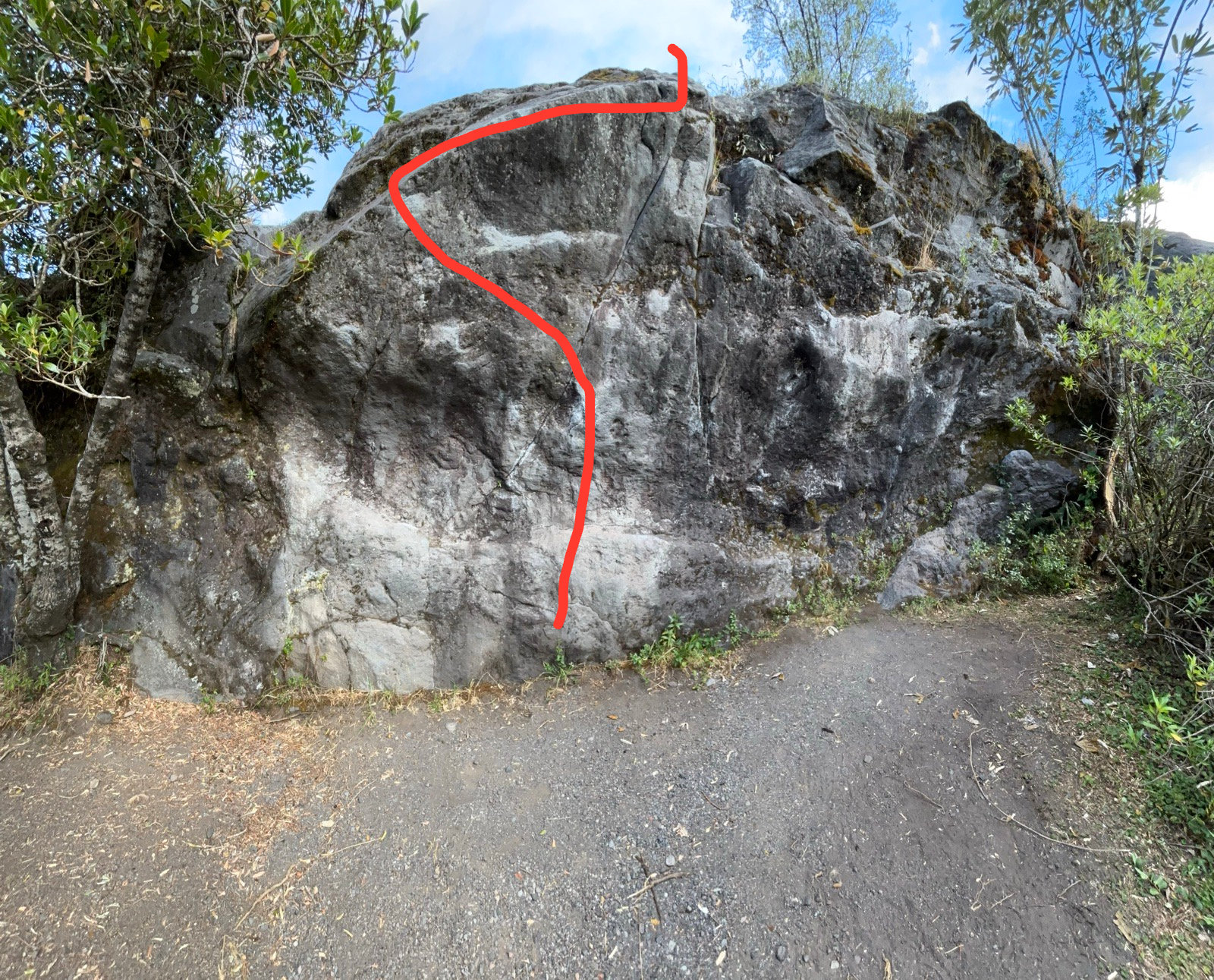 White Rasta, with the line drawn on the wall