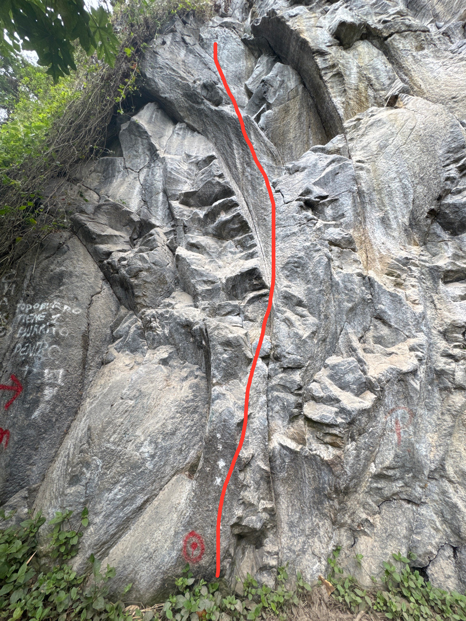 Cuyuja Light, with the line drawn on the wall