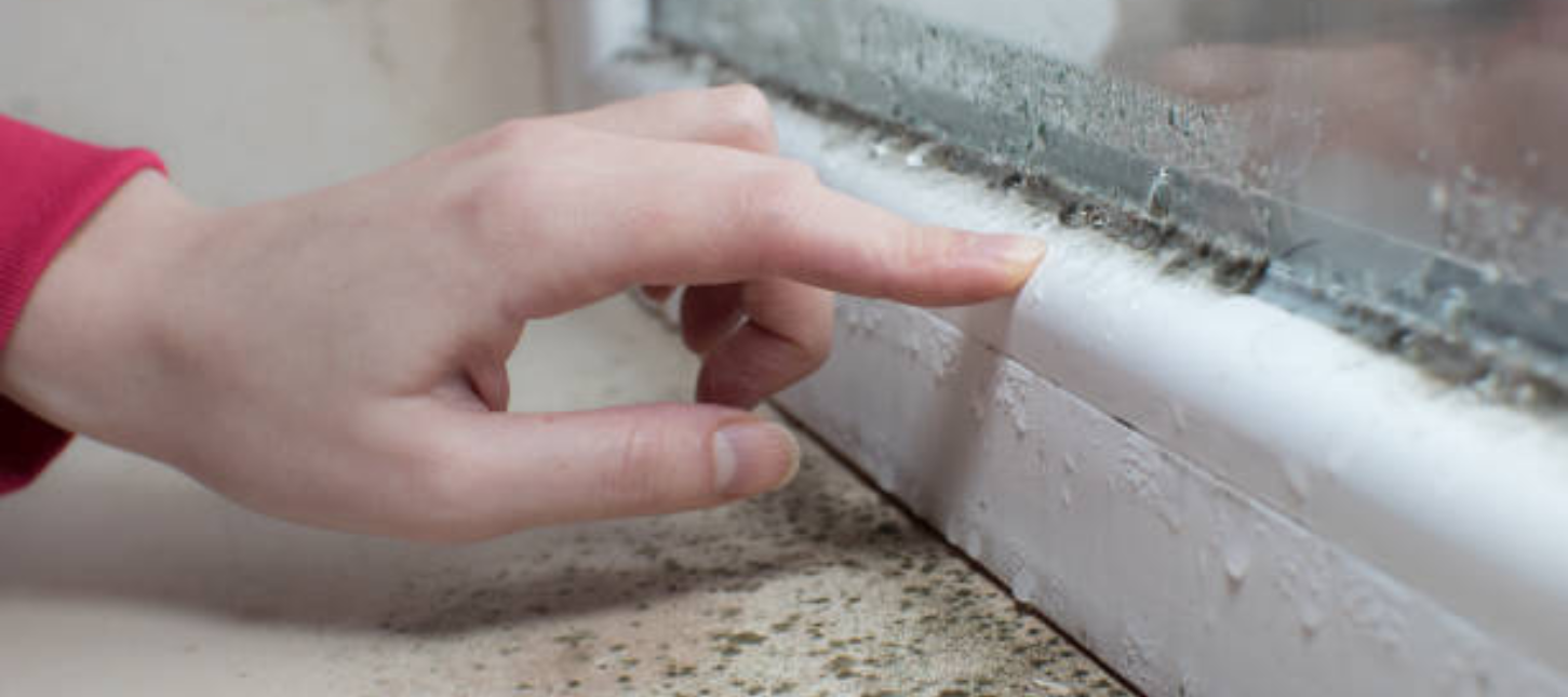 Moisissure et humidité sur fenêtre 