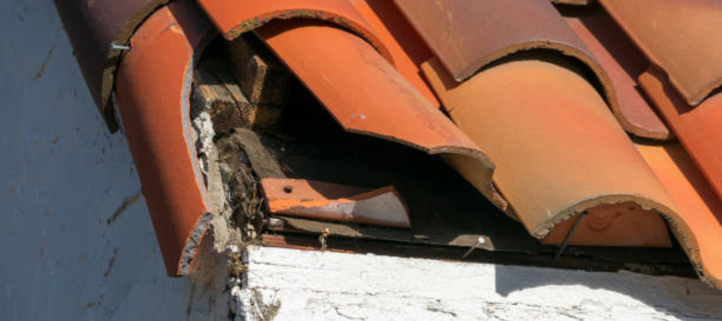 Tuile cassé d'un toit