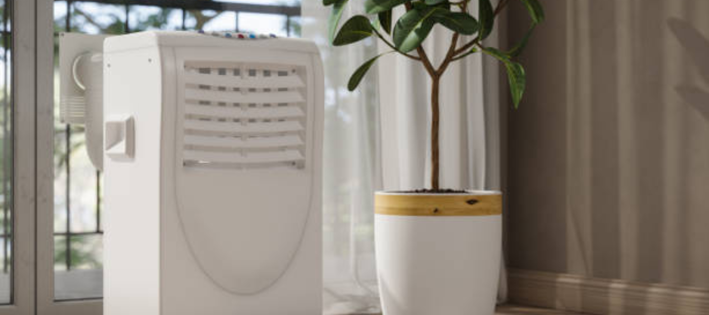 Déshumidificateurs dans une maison