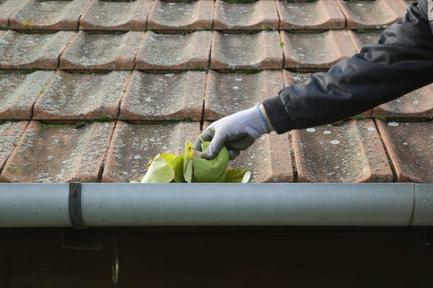 Nettoyage et démoussage de toiture