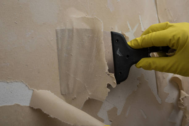 assèchement des murs