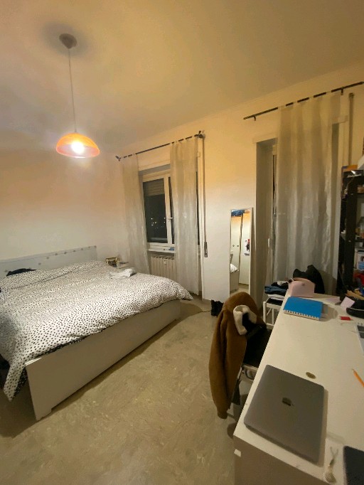 cerchiamo coinquilina dal 1° maggio! Roma foto 3