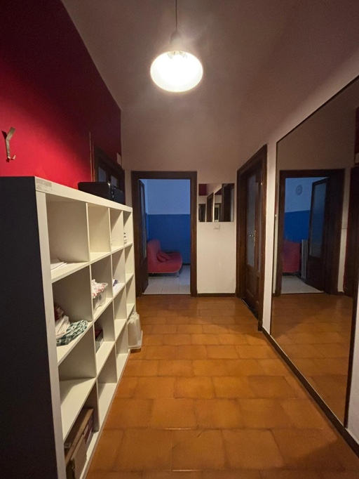 Via Plinio Milano Milano foto 5