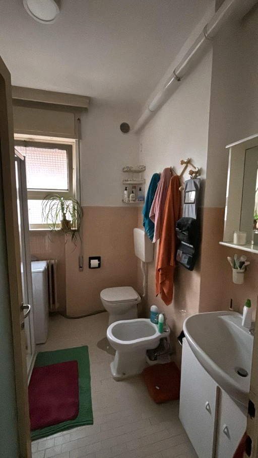 Cerchiamo coinquiline per due stanze singole  Padova foto 5