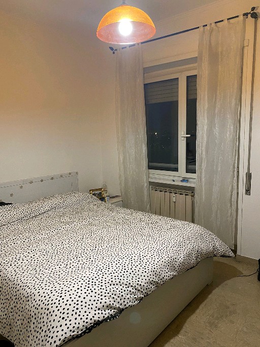 cerchiamo coinquilina dal 1° maggio! a Roma