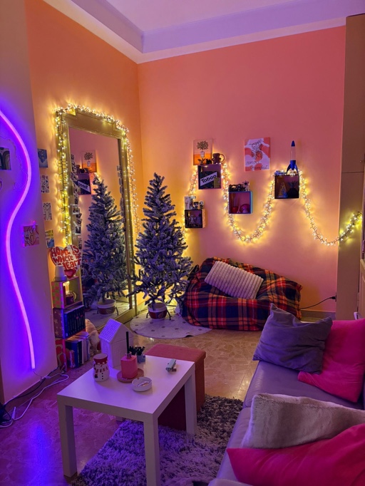 Affito stanza zona stazione Pavia Pavia foto 4