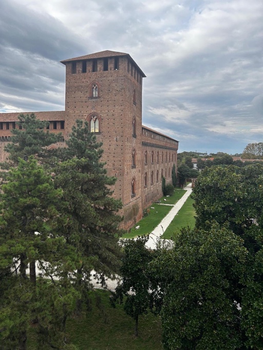 Stanza in Piazza Castello a Pavia