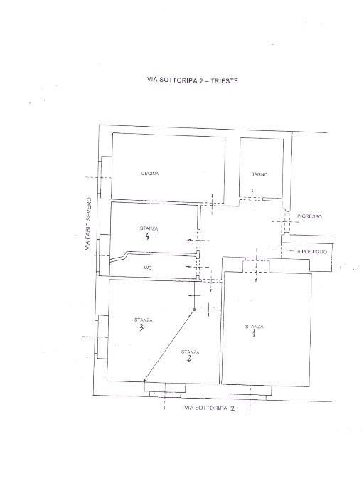 For a female student  a Venezia