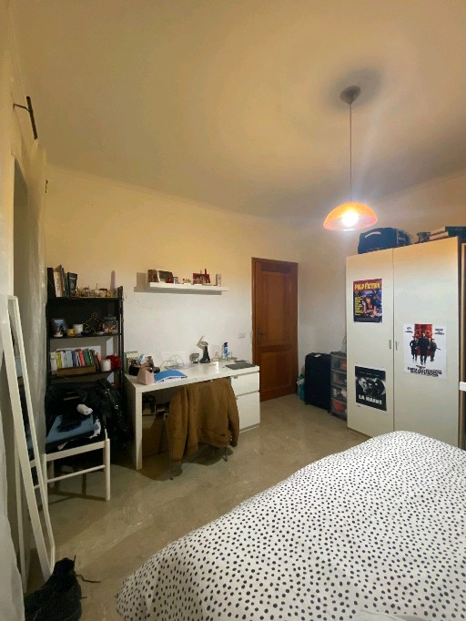 cerchiamo coinquilina dal 1° maggio! Roma foto 2