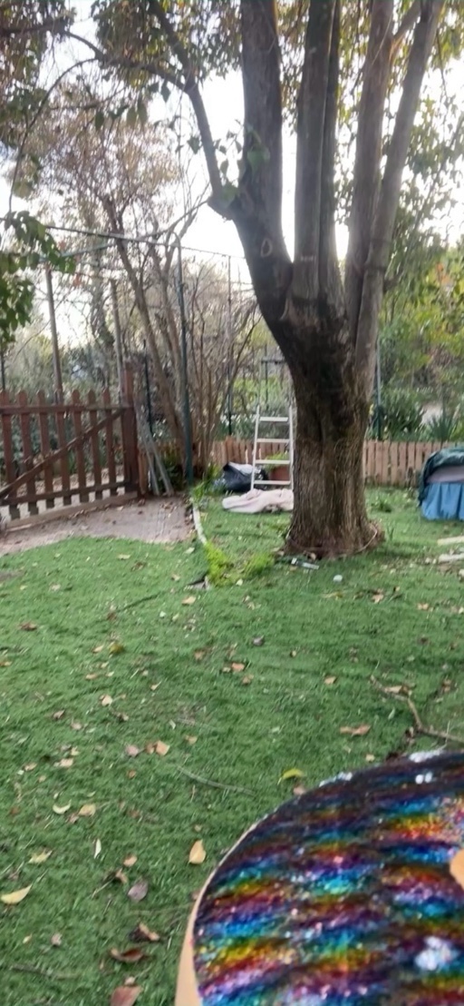 stanza o intero appartamento  a Roma