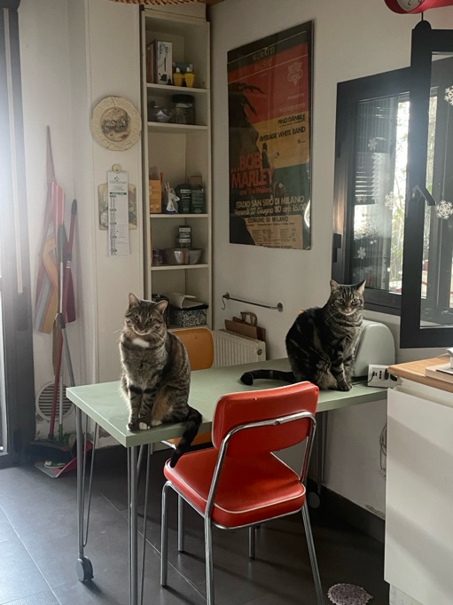 Stanza con letto matrimoniale e bagno privato in casa condivisa Milano foto 3