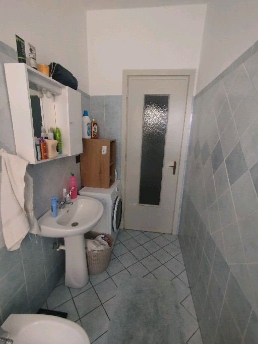 Cercasi coiqnulino/a Torino foto 2