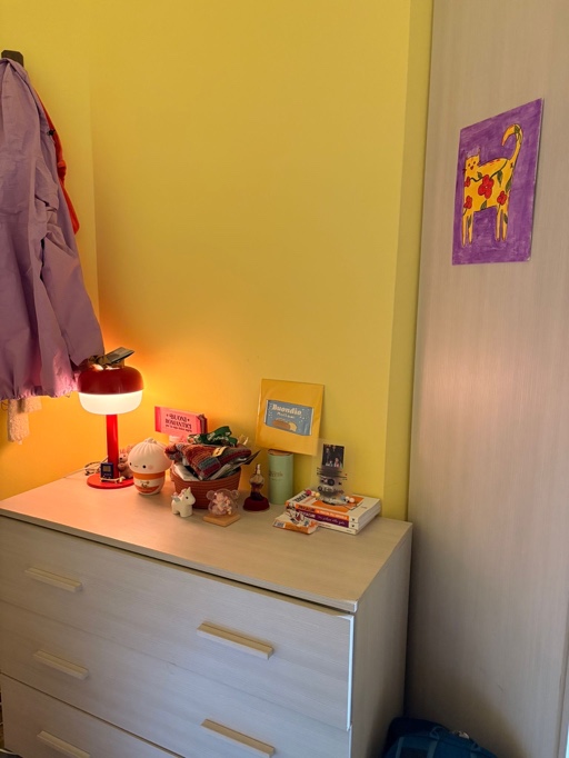 Affito stanza zona stazione Pavia Pavia foto 3